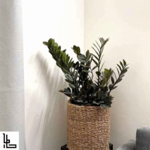 LUBANACHEN 8" Flower Pot Floor Indoor Planters, 8” x 8” Storage Organizer Basket Home Decor